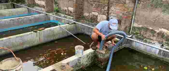 Sedot WC Peterongan Jombang